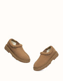 AUSTRALIAN SHEPHERD® Axton