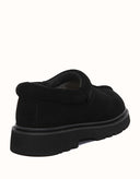 AUSTRALIAN SHEPHERD® Axton