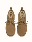 AUSTRALIAN SHEPHERD® Caelen