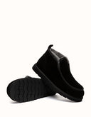 AUSTRALIAN SHEPHERD® Tavros