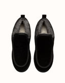 AUSTRALIAN SHEPHERD® Tavros