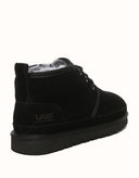 AUSTRALIAN SHEPHERD® Leonard