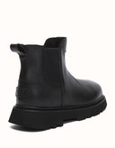 AUSTRALIAN SHEPHERD® Dralen