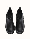 AUSTRALIAN SHEPHERD® Dralen