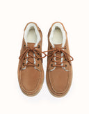 AUSTRALIAN SHEPHERD®Ryan