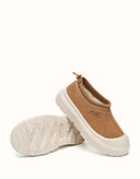 AUSTRALIAN SHEPHERD® Harlow