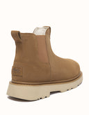 AUSTRALIAN SHEPHERD® Dravor