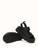 AUSTRALIAN SHEPHERD® Beatia