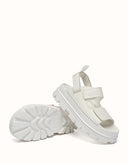 AUSTRALIAN SHEPHERD® Beatia