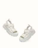 AUSTRALIAN SHEPHERD® Beatia