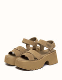 Australian Shepherd® Eive