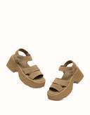 Australian Shepherd® Eive