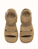 Australian Shepherd® Eive