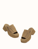 Australian Shepherd® Haive