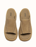 Australian Shepherd® Haive