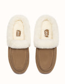 AUSTRALIAN SHEPHERD® Noelle