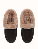 AUSTRALIAN SHEPHERD® Noelle