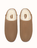 AUSTRALIAN SHEPHERD® Somni