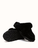 AUSTRALIAN SHEPHERD® Doria