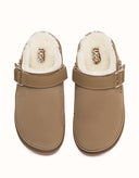 AUSTRALIAN SHEPHERD® Norven