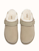 AUSTRALIAN SHEPHERD® Norven