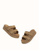 AUSTRALIAN SHEPHERD® Ventra