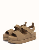 AUSTRALIAN SHEPHERD® Terral