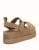 AUSTRALIAN SHEPHERD® Terral