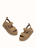 AUSTRALIAN SHEPHERD® Terral