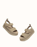 AUSTRALIAN SHEPHERD® Terral