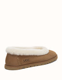 AUSTRALIAN SHEPHERD® Milea