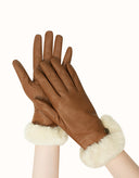 AUSTRALIAN SHEPHERD® Norya Gloves
