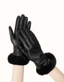 AUSTRALIAN SHEPHERD® Norya Gloves