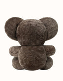 AUSTRALIAN SHEPHERD® Mellora Koala