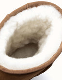 AUSTRALIAN SHEPHERD® SHORT CLASSIC SUEDE